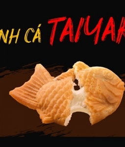Bánh Cá Taiyaki Ngon Gò Vấp, Nước Sâm Mix Gò Vấp
