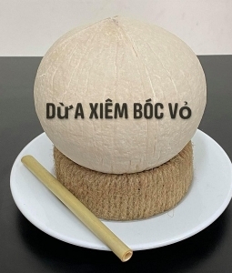 Chuyên Sỉ Và Lẻ Dừa Xiêm Trọc, Xiêm Baby