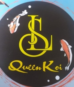 LS Queen Koi Coffee -  Quán Cafe Cá Koi Đẹp Hóc Môn