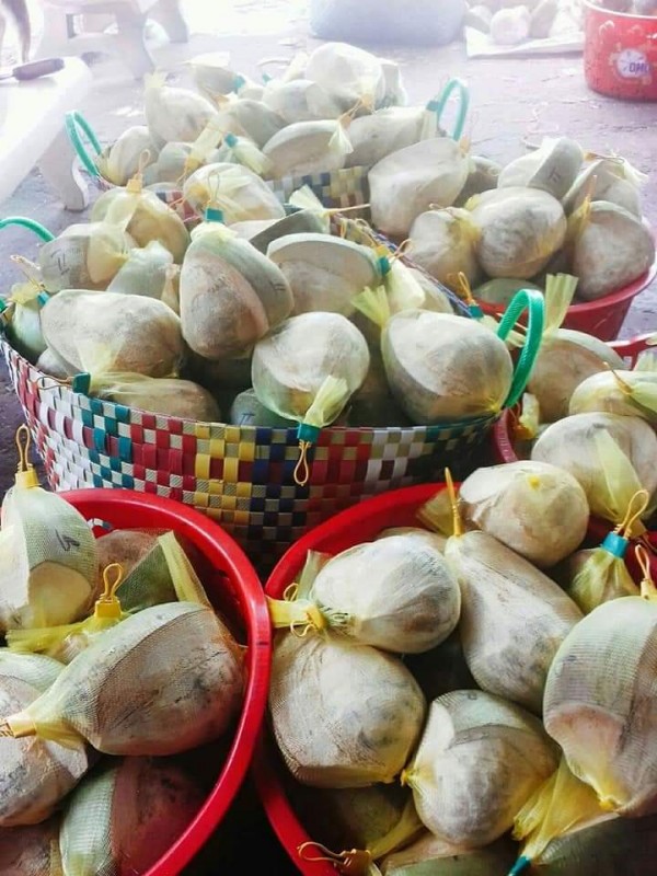 Quán ăn, ẩm thực: Cung Cấp Sỉ, Lẻ Dừa Sáp 1%20(12)(14)