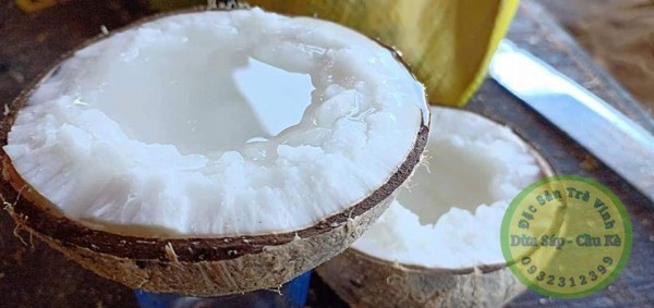 Quán ăn, ẩm thực: Cung Cấp Sỉ, Lẻ Dừa Sáp 1%20(4)(31)
