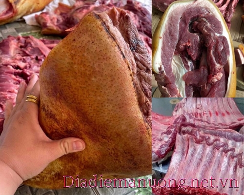 Cung Cấp Thịt Heo Rừng, Cung Cấp Thịt Nai